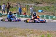 DSC_6908 copie